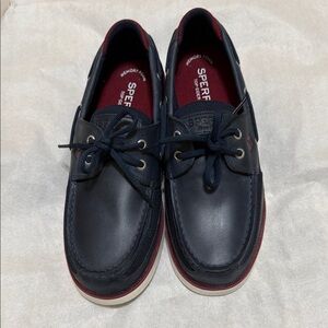 Sperry Men's Dark Blue and Burgundy Boat Shoes